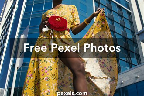 pexel videos|Free stock videos